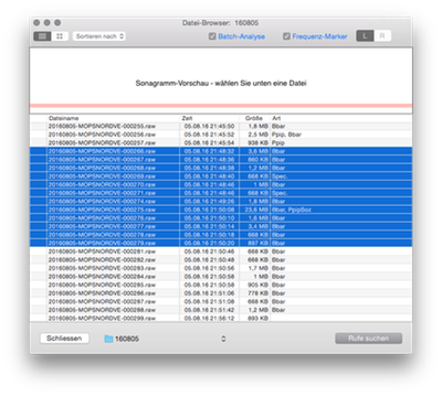 Datei-Browser mit Batch-Rufsuche